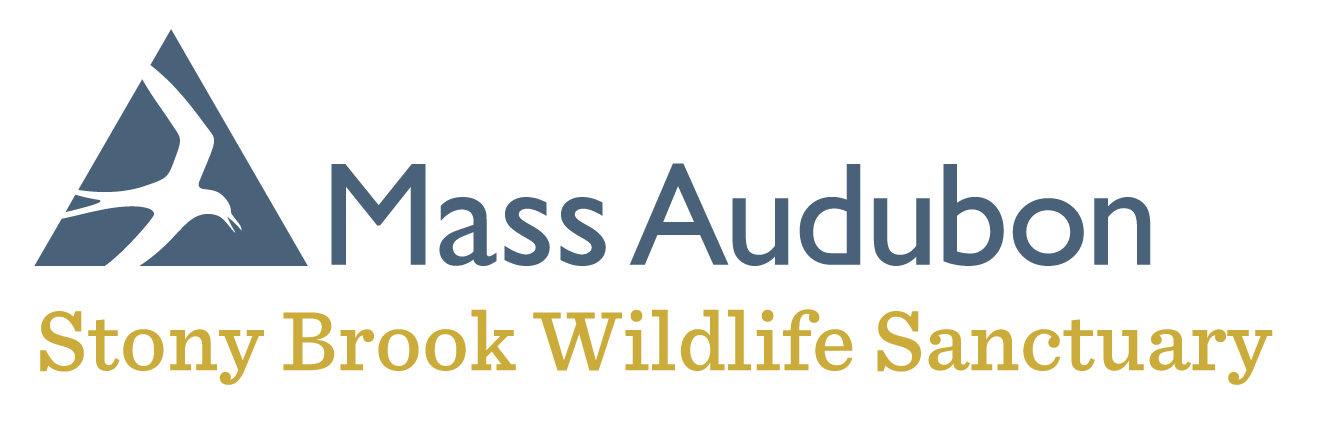 Logo for Stony Brook Day Camp