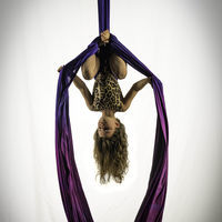 Logo for Napa Aerial Fit