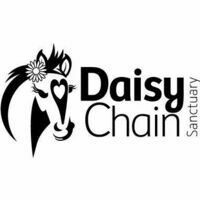 Logo for Daisy Chain, LTD