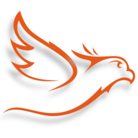 Logo for Phoenix Sports