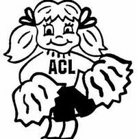 Logo for America's Leaders Summer Camps