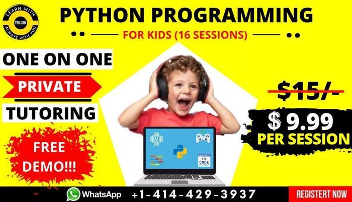 One to One Python Private Tutoring by Triluxo Technology