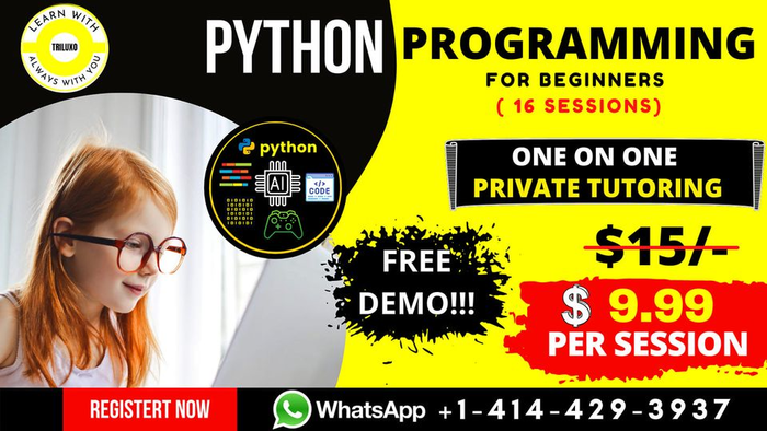 One to One Python Private Tutoring by Triluxo Technology
