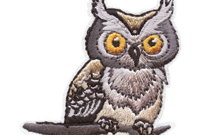 Girl Scouts: Owl Pellet Dissection by Discover Science Center in Roswell, GA