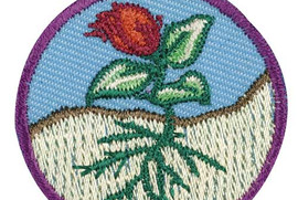 Girl Scouts: Flower Science by Discover Science Center in Roswell, GA