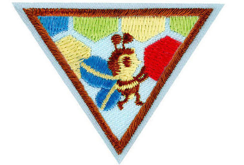 Online Girl Scouts: Brownie Nature Design by Discover Science Center
