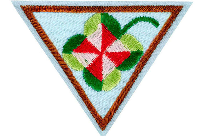 Online Girl Scouts: Brownie Nature Shapes by Discover Science Center