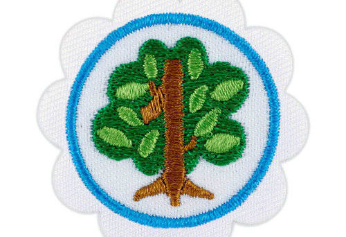 Online Girl Scouts: Undersea Patterns by Discover Science Center