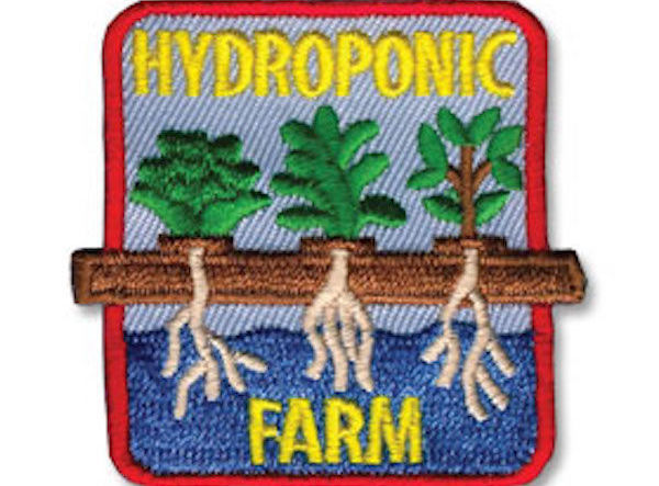 Online Girl Scouts: Hydroponic Gardening by Discover Science Center