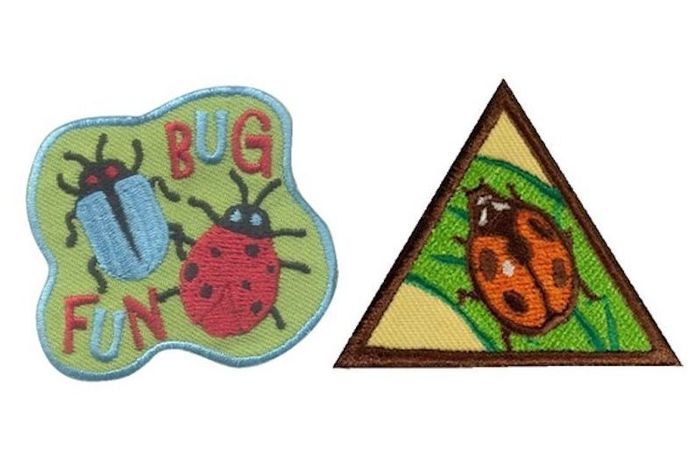Girl Scouts: All About Bugs by Discover Science Center in Roswell, GA