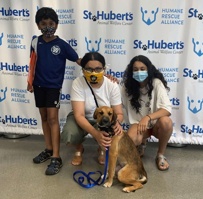 Working with Animals Virtual Career Fair by St. Hubert's Animal Welfare Center