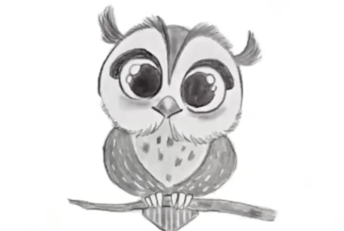 Owl Sketch by Young Art in Palo Alto, CA