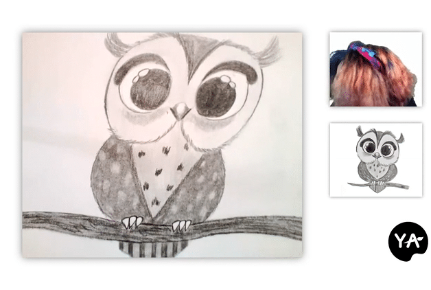 Owl Sketch by Young Art in Palo Alto, CA
