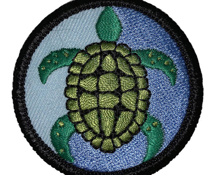 Girl Scouts: Sea Turtle Science by Discover Science Center in Palo Alto, CA