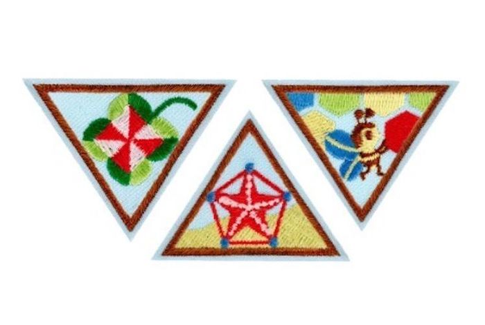 Girl Scouts: Brownie Math in Nature by Discover Science Center in Roswell, GA