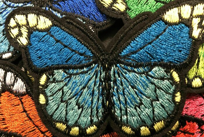 Girl Scouts: Biology of Butterflies by Discover Science Center in Roswell, GA