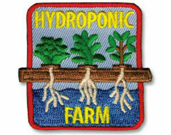 Girl Scouts: Hydroponic Gardening by Discover Science Center in Roswell, GA