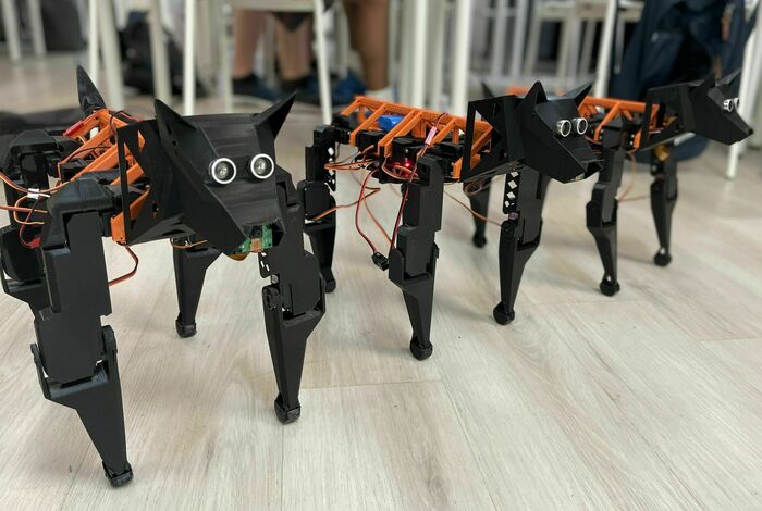 Summer Robotics - Build An Advanced Robot Dog by Evodyne Robotics Academy in Mountain View, CA