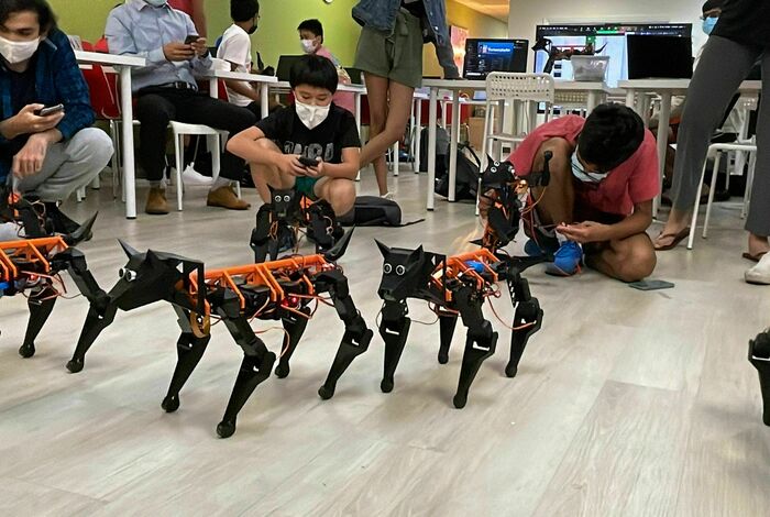 Summer Robotics - Build An Advanced Robot Dog by Evodyne Robotics Academy in Mountain View, CA