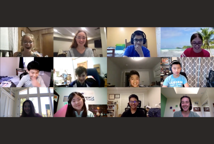 Public Speaking Online Classes by Rose Institute