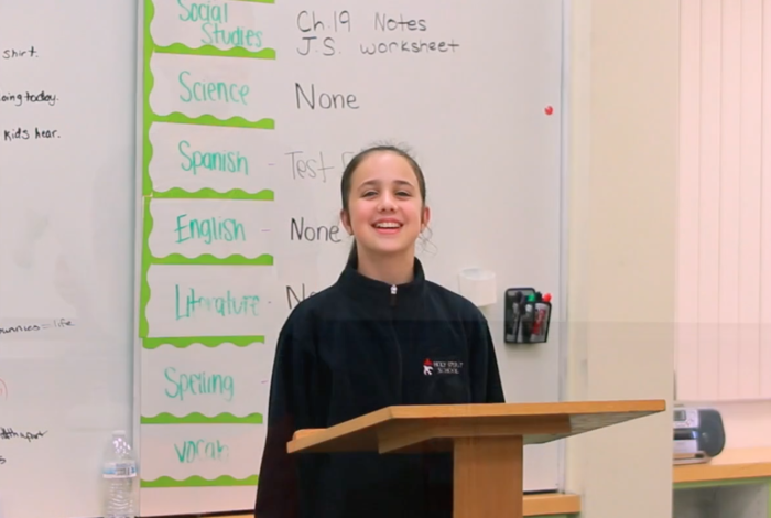 Public Speaking Online Classes by Rose Institute