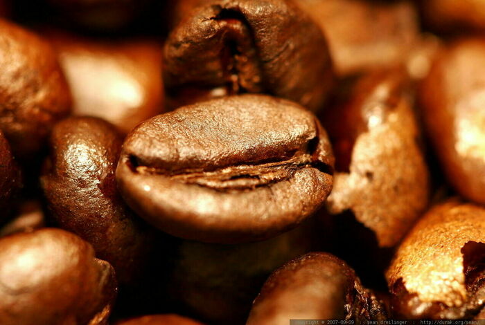 Workshop: Intro to Home Coffee Roasting by Maker Nexus in Sunnyvale, CA