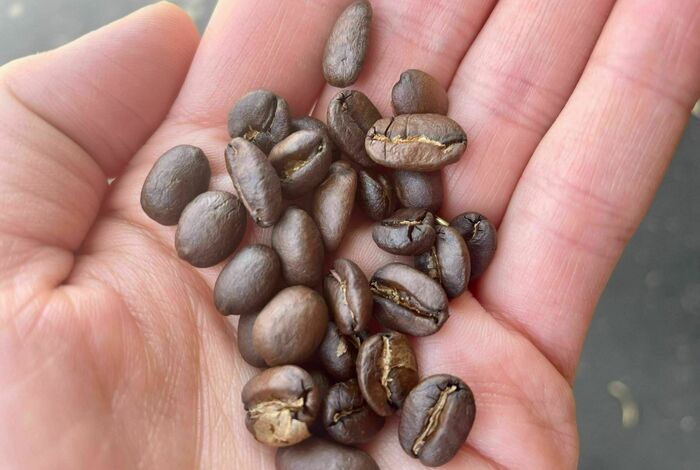 Workshop: Intro to Home Coffee Roasting by Maker Nexus in Sunnyvale, CA