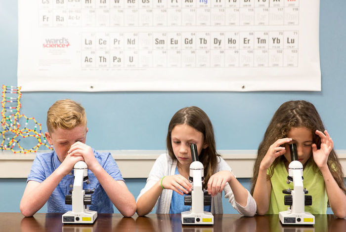 Camp: Scientist for a Day Camp by Discover Science Center in Alpharetta, GA
