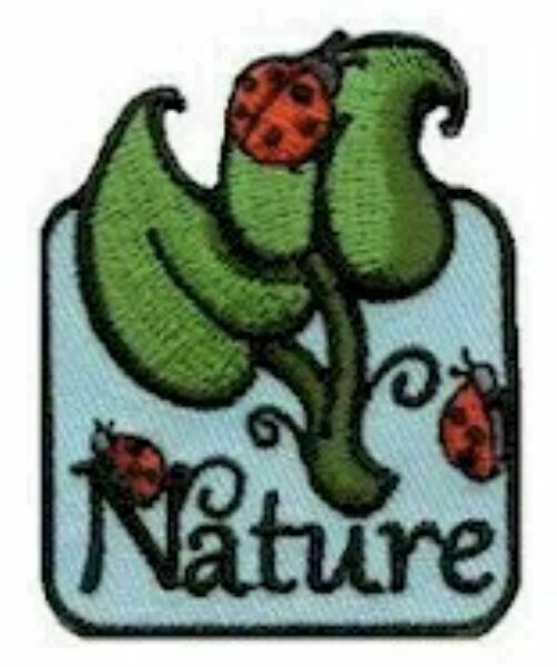 Girl Scouts: Lost Ladybug Project by Discover Science Center in Roswell, GA