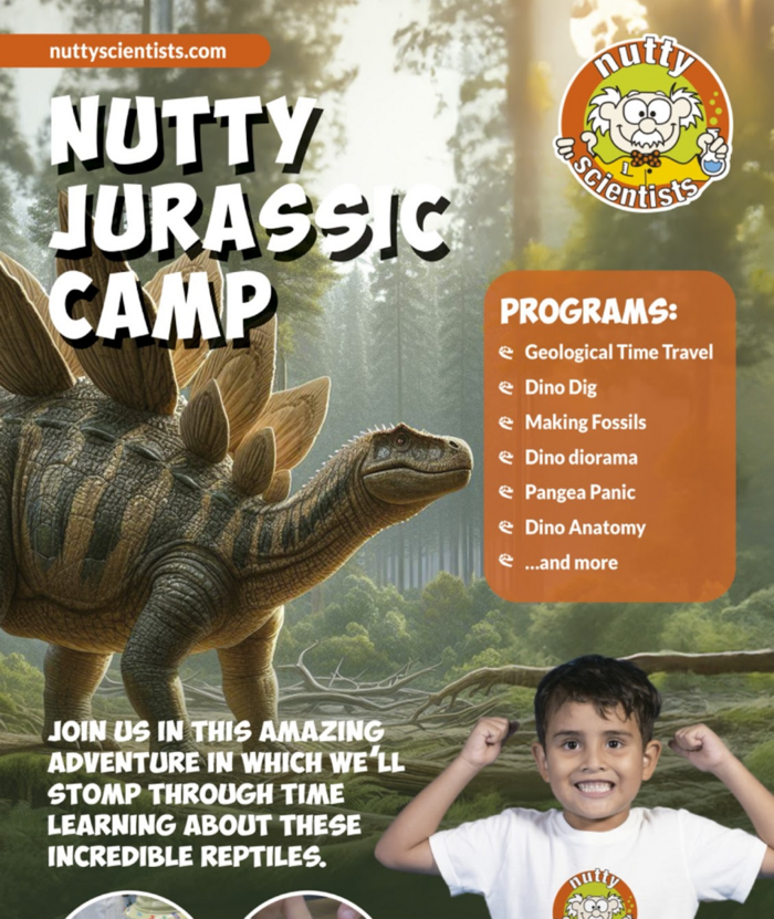Nutty Scientists by Little Champs Learning Center in San Jose, CA