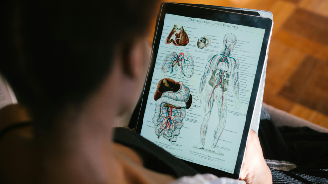 Anatomy and Physiology by Soopra Inc.