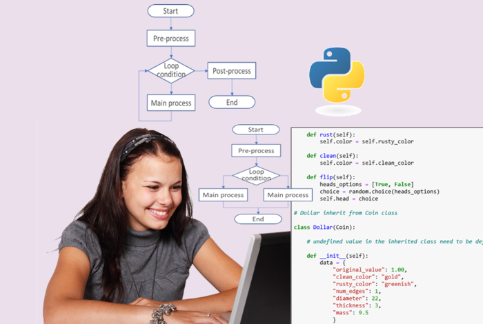Python Coding and Algorithm for Beginners by RISU USA - Online Class ...
