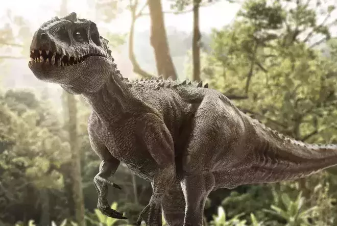 Dinasours Facts and Figures (Private Class) by Way to Success