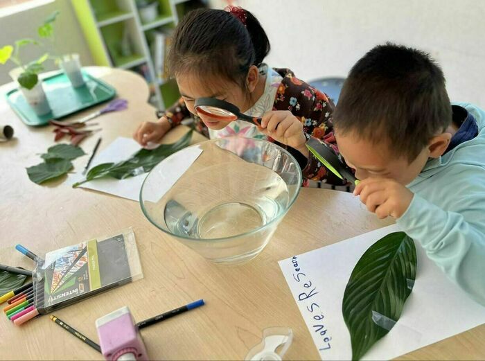 Science Olympiad Preparation Class by Ustar Education in San Jose, CA