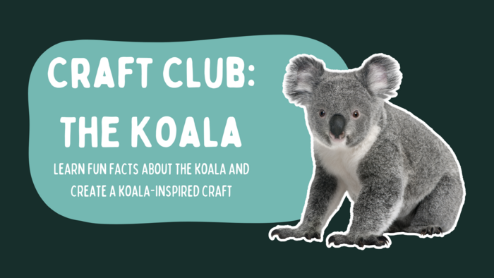 Craft Club: Learn About The Koala by Doodle Bee / Miss Debbie's Online Art Classes