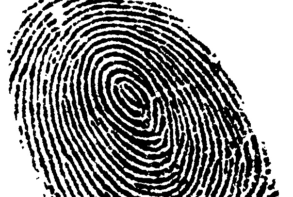 Camp: Secret Agent Camp by Discover Science Center in Palo Alto, CA