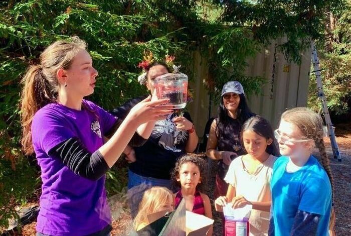 Nature-Led Education & Outdoor Adventures by BEan IN NATURE in Felton, CA