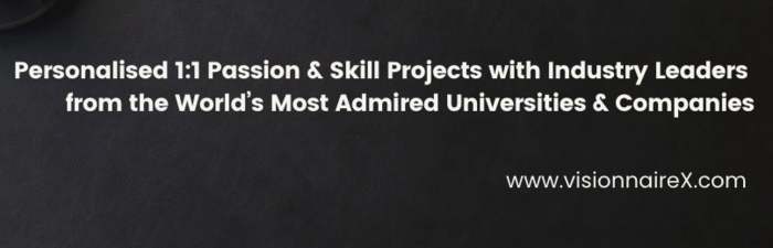 Custom 1:1 Project with Industry Leaders by VisionnaireX: Future Leaders & Innovators Program