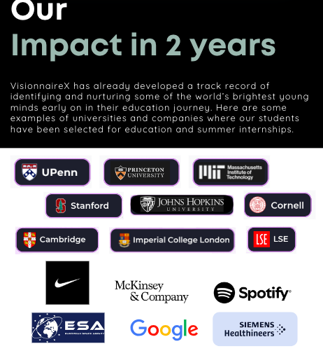 Custom 1:1 Project with Industry Leaders by VisionnaireX: Future Leaders & Innovators Program