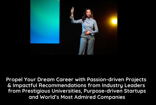 Custom 1:1 Project with Industry Leaders by VisionnaireX: Future Leaders & Innovators Program