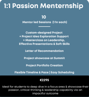 Custom 1:1 Project with Industry Leaders by VisionnaireX: Future Leaders & Innovators Program