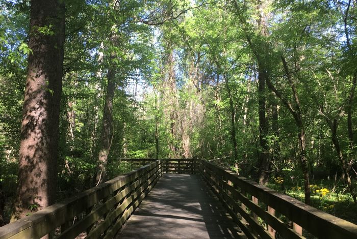 Homeschool: Nature Science at Big Creek by Discover Science Center in Roswell, GA