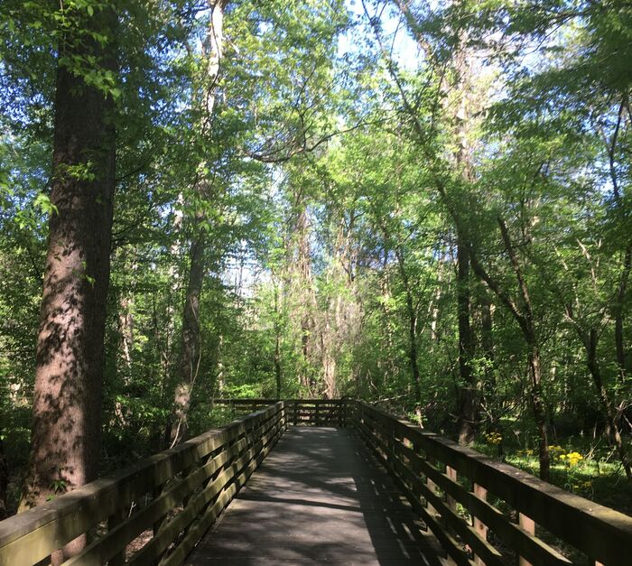 Homeschool: Field Ecology at Big Creek by Discover Science Center in Roswell, GA