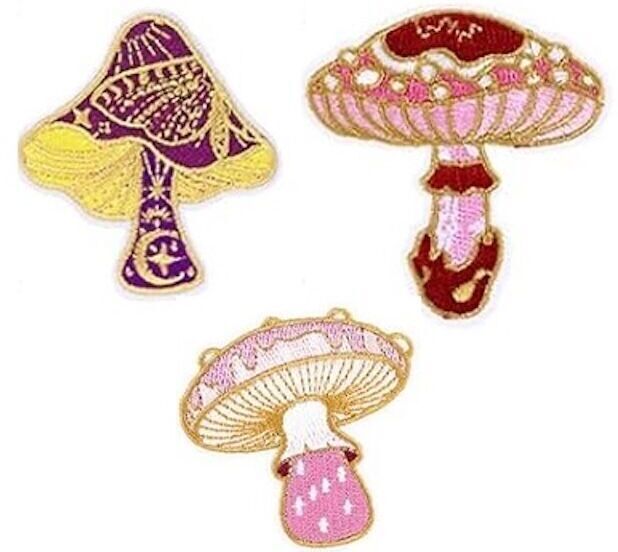 Girl Scouts: Science of Fungi by Discover Science Center in Roswell, GA