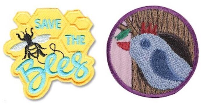 Girl Scouts: Science of Bees by Discover Science Center in Roswell, GA