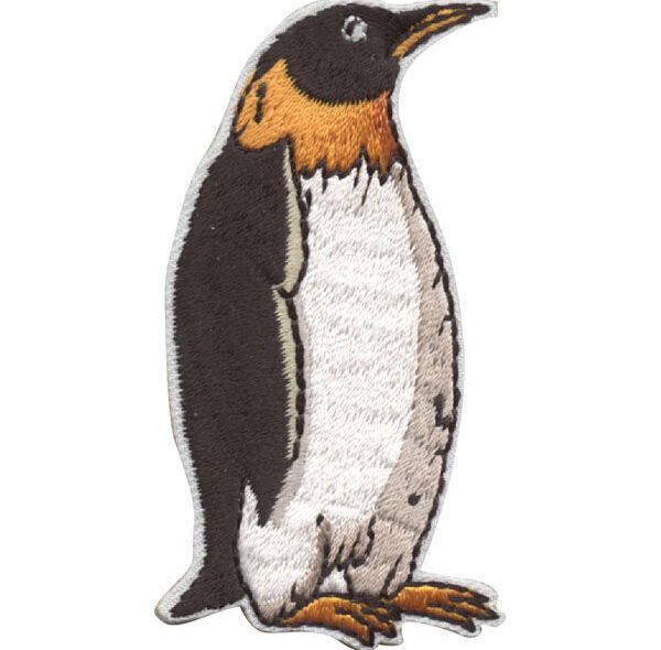Girl Scouts: Penguin Identification by Discover Science Center in Roswell, GA