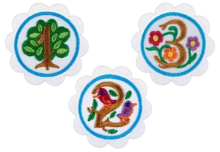 Girl Scouts: Daisy Math in Nature by Discover Science Center in Roswell, GA
