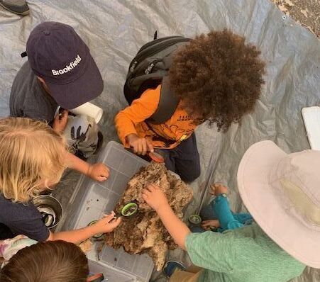 Nature-Led Education & Outdoor Adventures by BEan IN NATURE in Felton, CA