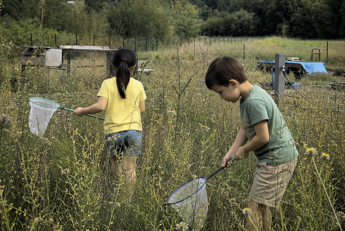 Gus's Summer Bug Brigade! (One Week Only)