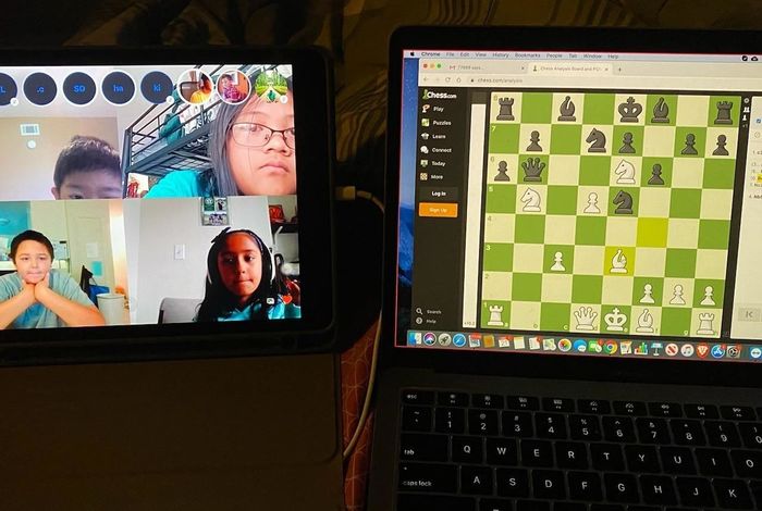 Online Chess Courses & Camps by Bay Area Chess
